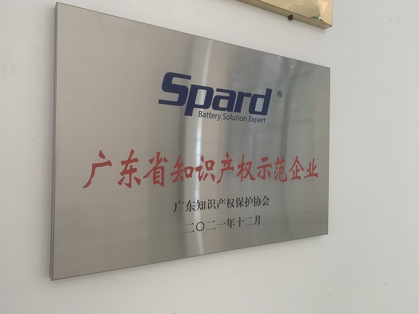 探花在线观看视频新能源荣获2021年度广东省知识产权示范企业